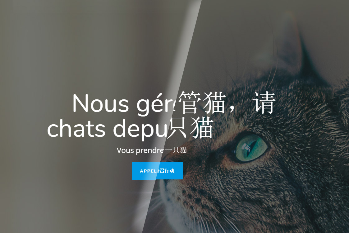 Exemple Divi français chinois
